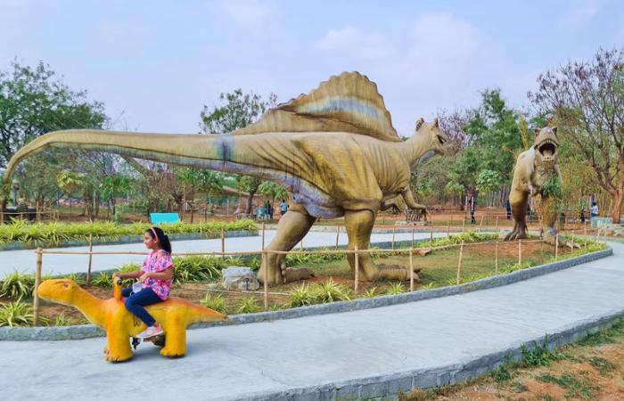 Features of Dinosaur Garden Pune