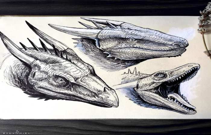 Dragon Head Sketches