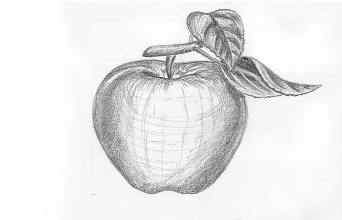 Step 5. Continue hatching the apple drawing to show its volume