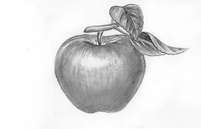 Step 7. Smear the hatching on the apple drawing to get the glossy look of an apple